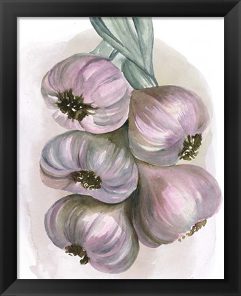 Framed Garlic Braid II Print