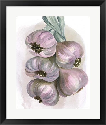 Framed Garlic Braid II Print