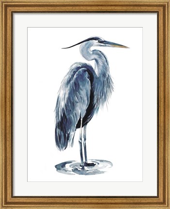 Framed Blue Blue Heron I Print