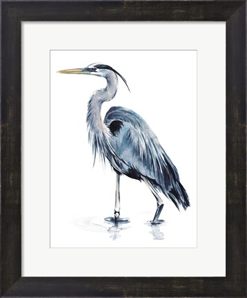 Framed Blue Blue Heron II Print