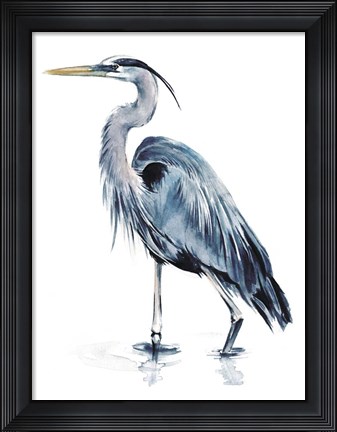 Framed Blue Blue Heron II Print