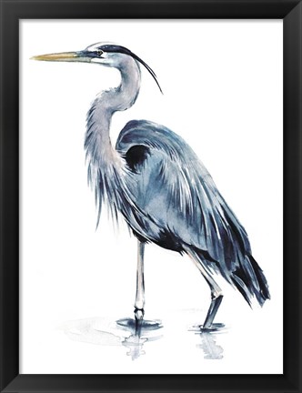 Framed Blue Blue Heron II Print