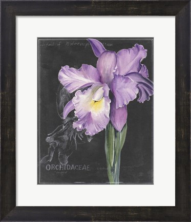 Framed Chalkboard Flower II Print