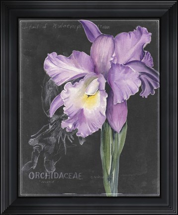 Framed Chalkboard Flower II Print
