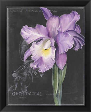 Framed Chalkboard Flower II Print