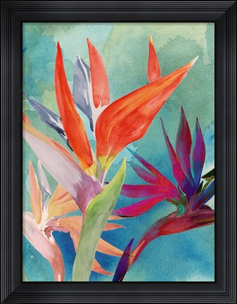 Framed Vivid Birds of Paradise I Print
