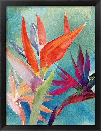 Framed Vivid Birds of Paradise I Print