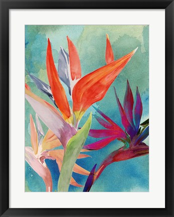 Framed Vivid Birds of Paradise I Print