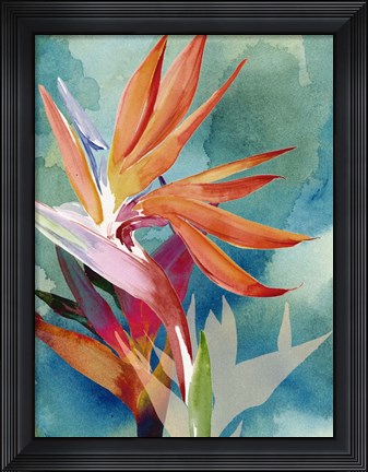 Framed Vivid Birds of Paradise II Print