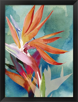 Framed Vivid Birds of Paradise II Print