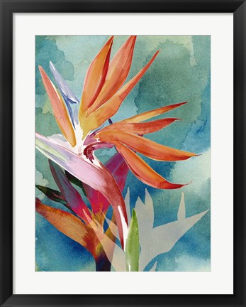 Framed Vivid Birds of Paradise II Print