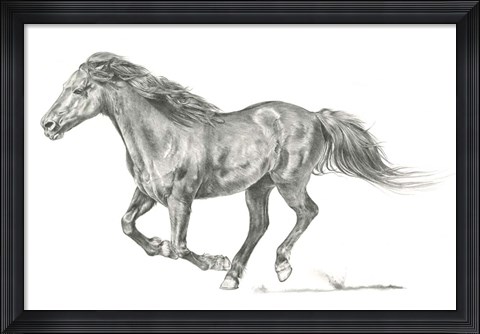 Framed Wild Horse Portrait I Print