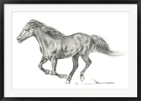 Framed Wild Horse Portrait I Print