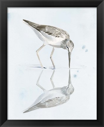 Framed Sandpiper Reflections I Print