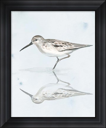 Framed Sandpiper Reflections II Print