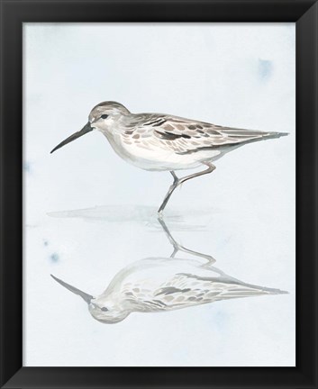 Framed Sandpiper Reflections II Print