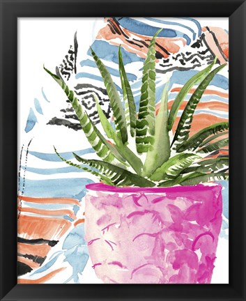 Framed Zebra Succulent I Print