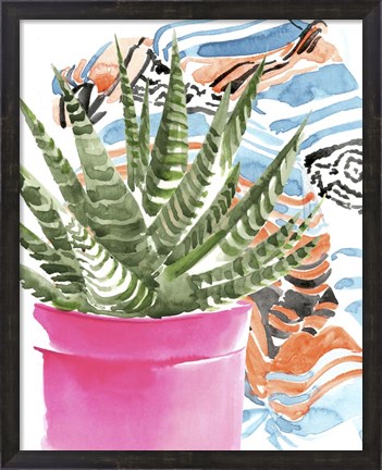 Framed Zebra Succulent II Print
