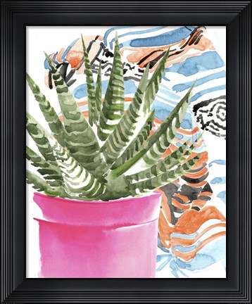 Framed Zebra Succulent II Print