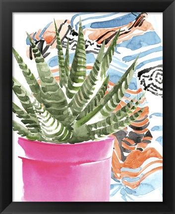 Framed Zebra Succulent II Print