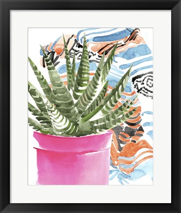 Framed Zebra Succulent II Print