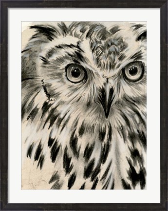 Framed Charcoal Owl I Print