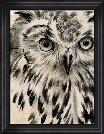 Framed Charcoal Owl I Print