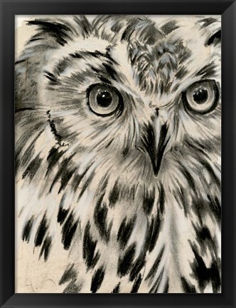 Framed Charcoal Owl I Print