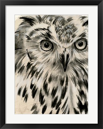 Framed Charcoal Owl I Print