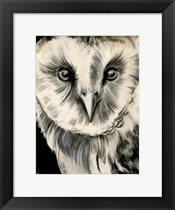 Framed Charcoal Owl II Print