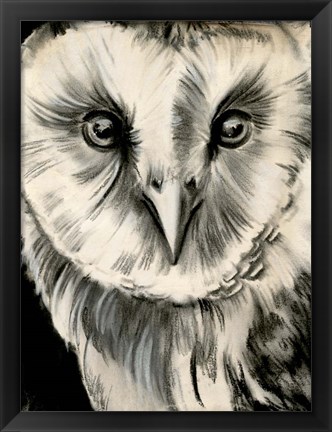 Framed Charcoal Owl II Print