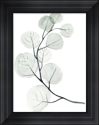 Framed Silver Dollars I Print