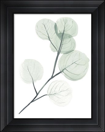 Framed Silver Dollars II Print