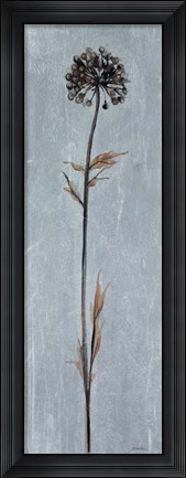 Framed Cool Botanicals I Print