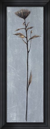 Framed Cool Botanicals II Print