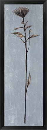 Framed Cool Botanicals II Print