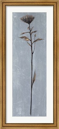 Framed Cool Botanicals II Print