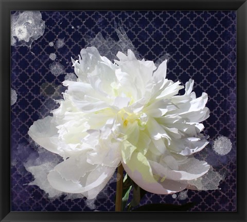 Framed White Peony-Scents of Heaven 2 Print