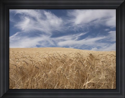 Framed Farm &amp; Field II Print
