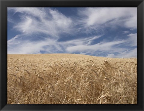 Framed Farm &amp; Field II Print