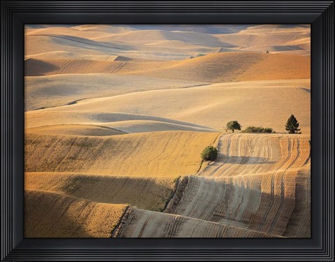 Framed Farm &amp; Field III Print