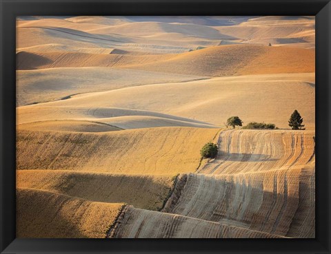 Framed Farm &amp; Field III Print