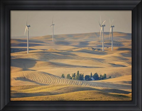 Framed Farm &amp; Field IV Print