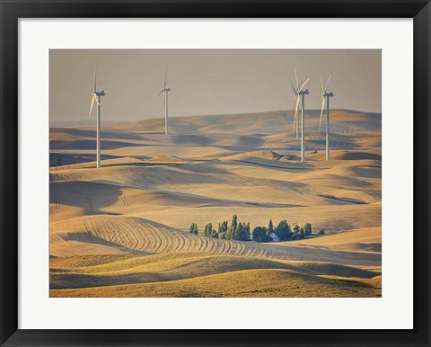 Framed Farm &amp; Field IV Print