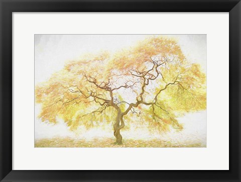 Framed Golden Tree Print