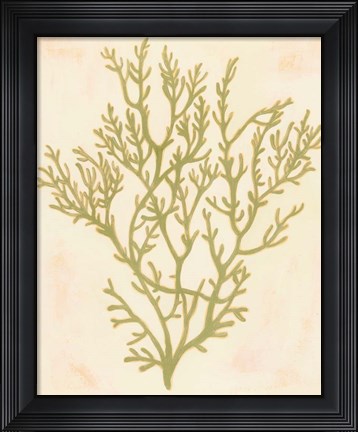 Framed Deep Sea Coral I Print