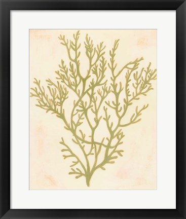 Framed Deep Sea Coral I Print