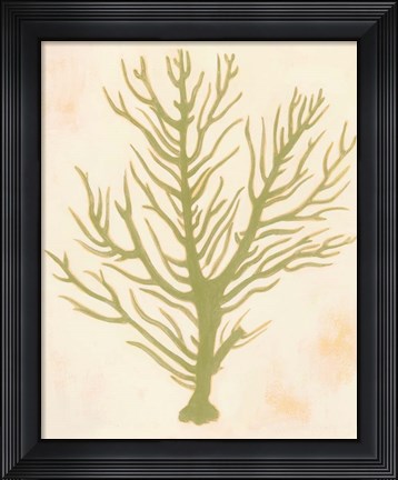 Framed Deep Sea Coral II Print