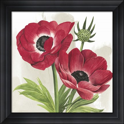 Framed Crimson Anemones I Print