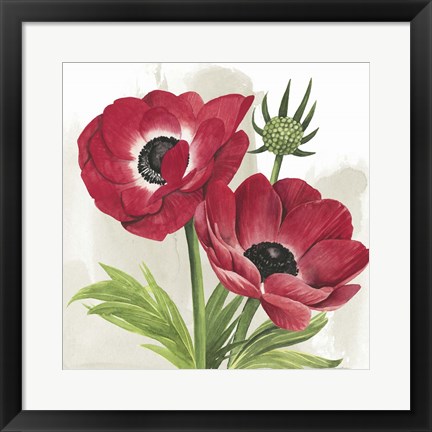 Framed Crimson Anemones I Print